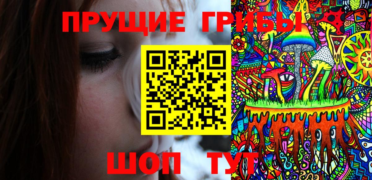 Полевской  Галлюциногенные грибы мухоморы  Вход с VPN 