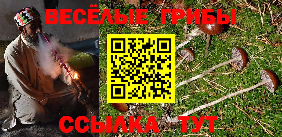 Псилоцибиновые грибы Psilocybe Полевской